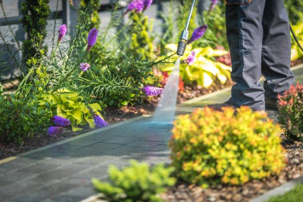 Reliable Cambria, IL  Pressure Washing Services Solutions